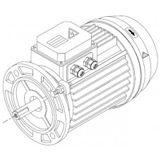 Двигатель к насосу KA/KAP-300 (220В) Kripsol 5043.A / /RBM0040.21R